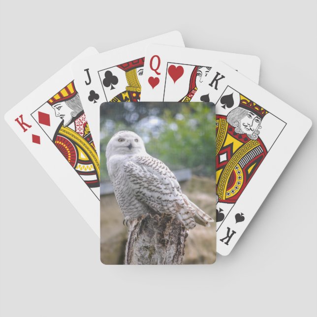 Snow owl playing cards (Back)