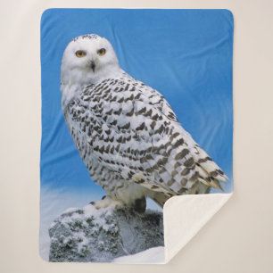 Snow Owl Sherpa Blanket
