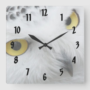 Snow Owl Square Wall Clock