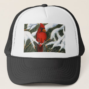 Snow Painting Hat