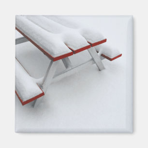 snow picnic magnet