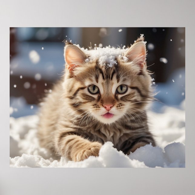 *~* Snow Playing Kitty 5:4  Kitten Cat AP68 Poster (Front)