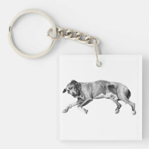 Snow-Pocket Daydream Key Ring