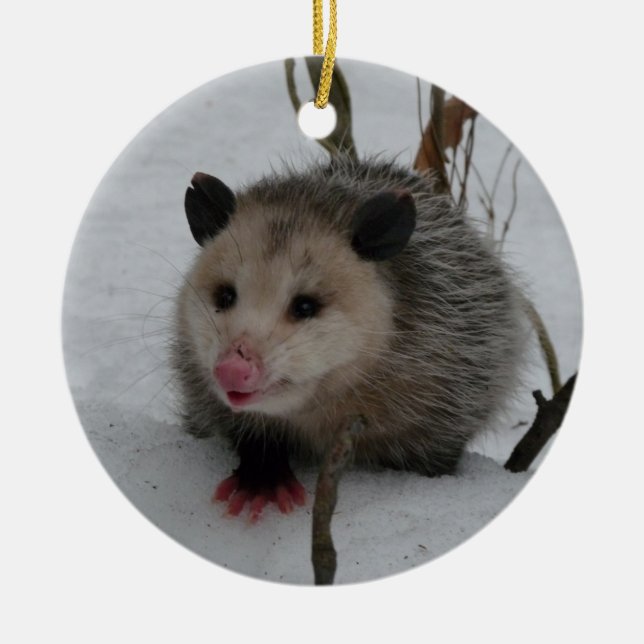 Snow Possum Ceramic Tree Decoration (Front)