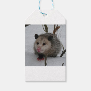 Snow Possum Gift Tags