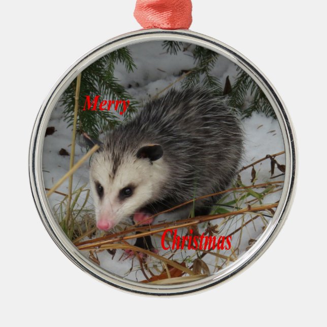 Snow Possum Metal Tree Decoration (Front)