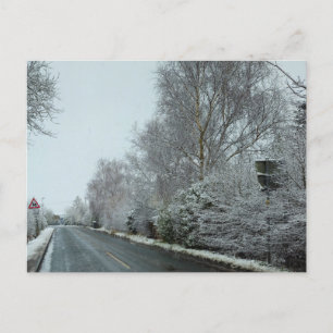 Snow  postcard