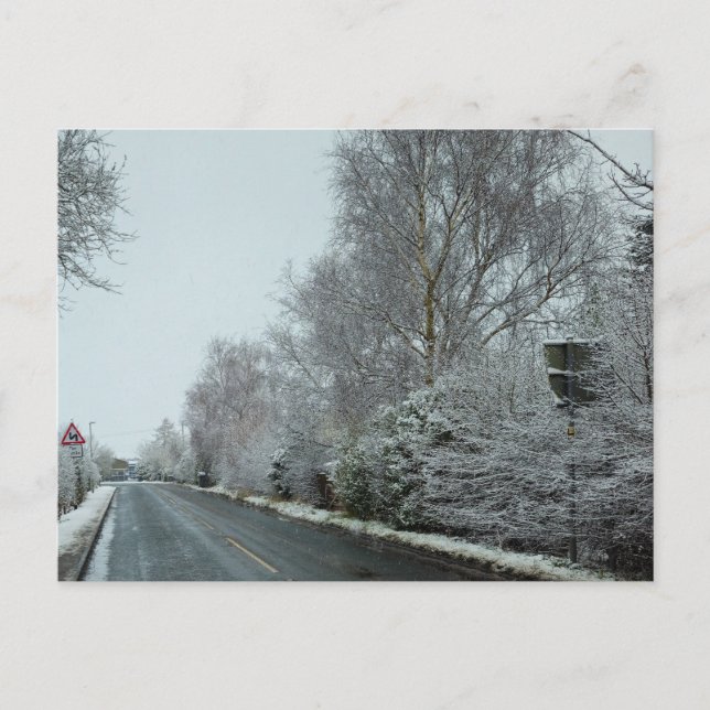 Snow  postcard (Front)