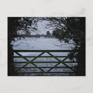 Snow  postcard