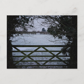 Snow  postcard