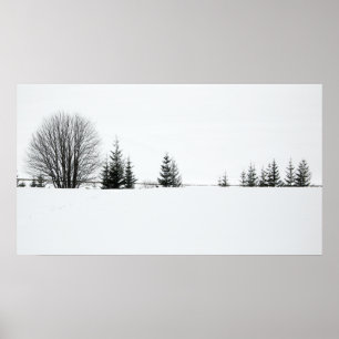 Snow Poster