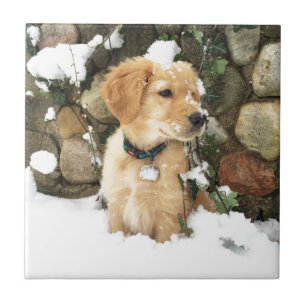 Snow Puppy dog outdoor rustic photo Ceramic Tile