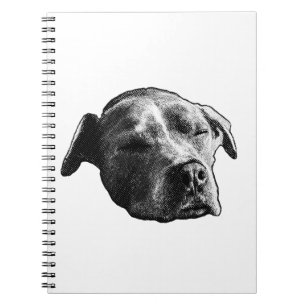 Snow-Quiet Pages Notebook