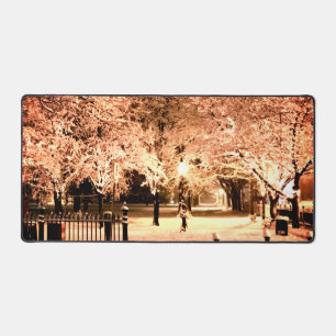 Snow Salem Common Massachusetts Photo Desk Mat
