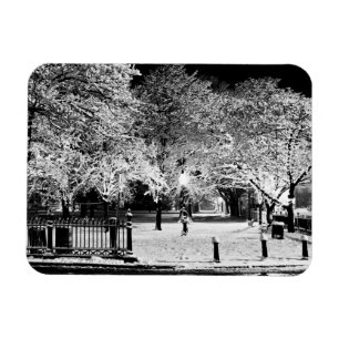 Snow Salem Common Massachusetts Photo Magnet
