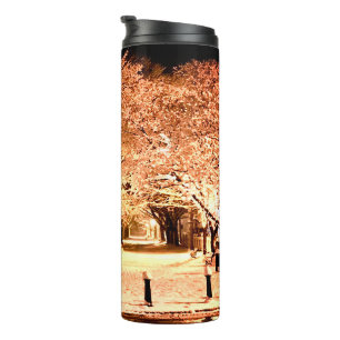 Snow Salem Common Massachusetts Photo Thermal Tumbler