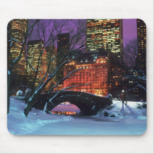 Snow Scene In Central Park Mouse Pad
