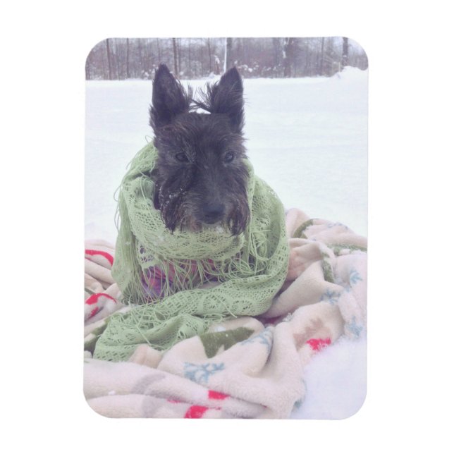 Snow Scottie Magnet (Vertical)