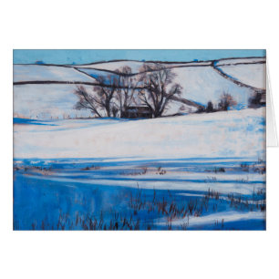 Snow Shadows 2010