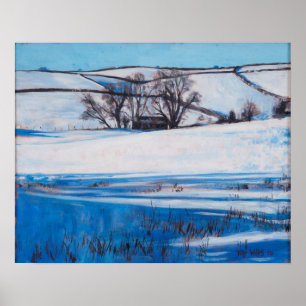 Snow Shadows 2010 Poster