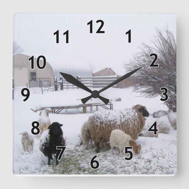 Snow Sheep Square Wall Clock (Front)