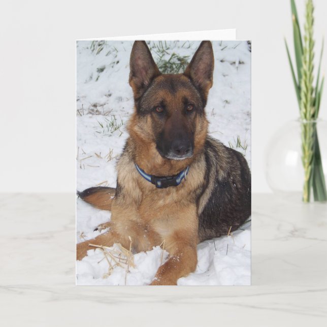 Snow Shepherd Card (Front)