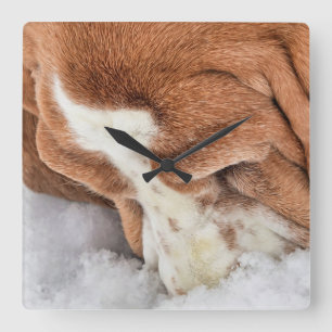 Snow Smells Wonderful Basset Hound Square Wall Clock