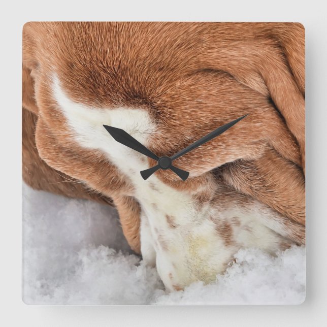 Snow Smells Wonderful Basset Hound Square Wall Clock (Front)