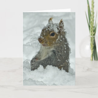 Snow Squirrel Card