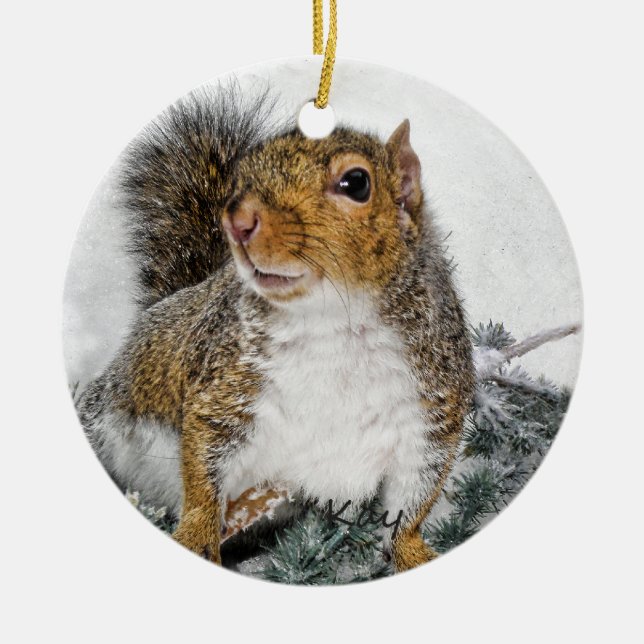 Snow Squirrel Ceramic Ornament (Front)