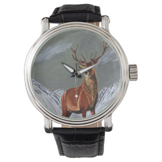 snow stag watch