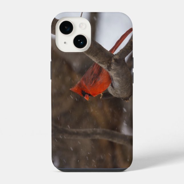 Snow Storm Cardinal iPhone Case (Back)