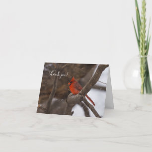 Snow Storm Cardinal Thank You Card