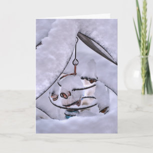 Snow Swirl Holiday Card