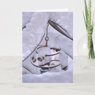 Snow Swirl Holiday Card