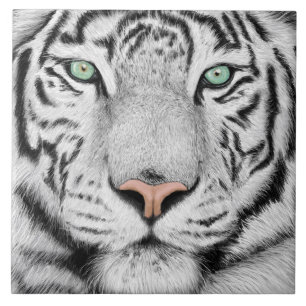 Snow Tiger Face Ceramic Tile