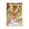 Snow Tiger Postcard