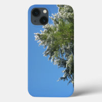 Snow-tipped Pine Tree on Blue Sky