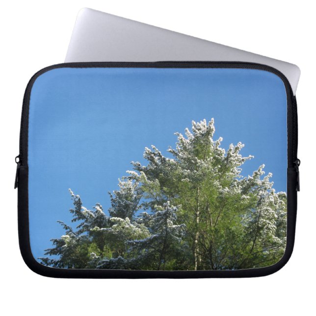 Snow-tipped Pine Tree on Blue Sky Laptop Sleeve (Front)
