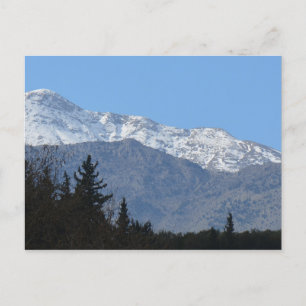 Snow Topped White Mountains Postcard