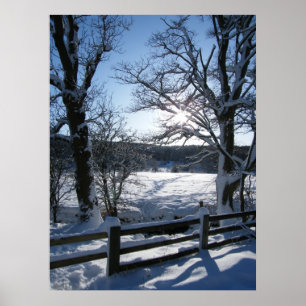 Snow Trail Poster