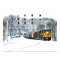 Snow Train