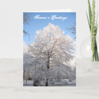 Snow Tree Christmas Card