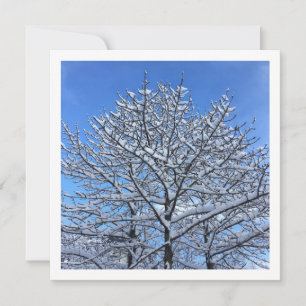 Snow tree - Personalised card
