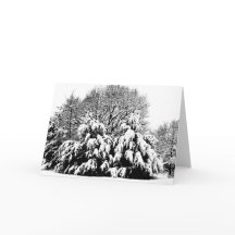 Snow Trees Nature Winter Scene Art Note Card