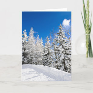 Snow trees under a clear blue sky greeting card
