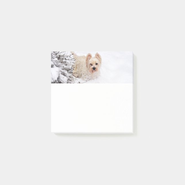 Snow Westie Dog Photo Stationery 3x3 Post-it Notes (Front)