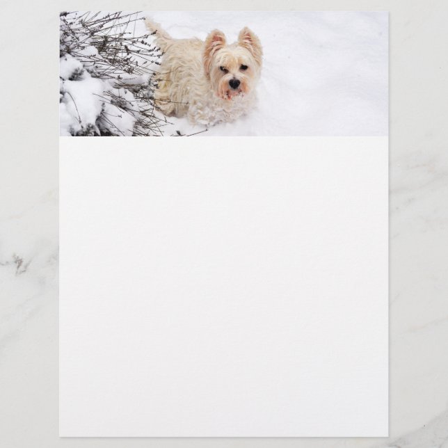 Snow Westie Dog Photo Stationery Paper Custom Letterhead (Front)