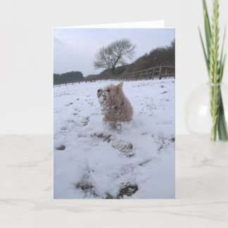 Snow Westie Holiday Card