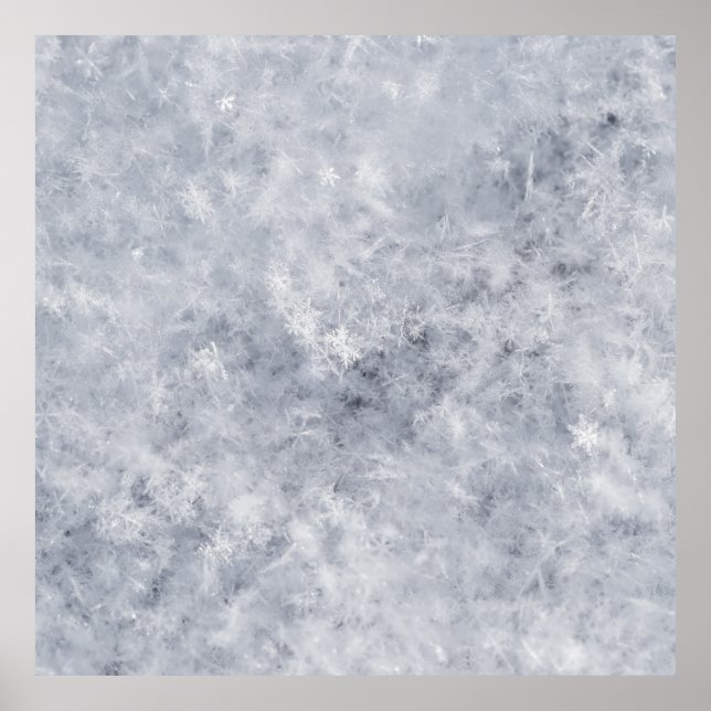 Snow White Christmas Poster (Front)